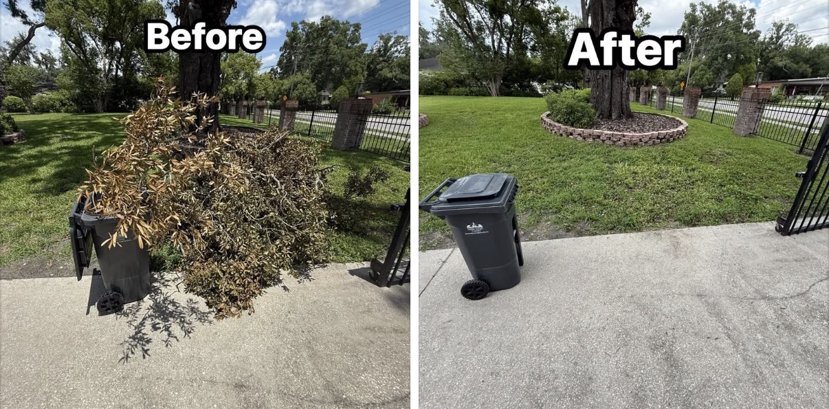 Before and after of yard debris and branches hauled away